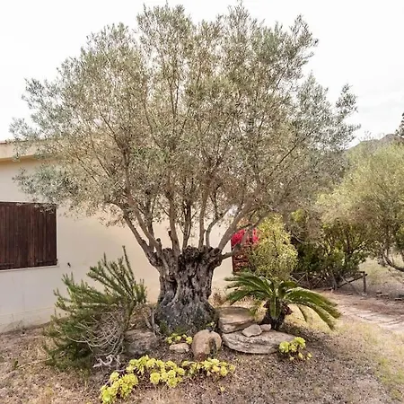 Caletta Feraxi-muravera 3 Minuti Dal Mare Villa *